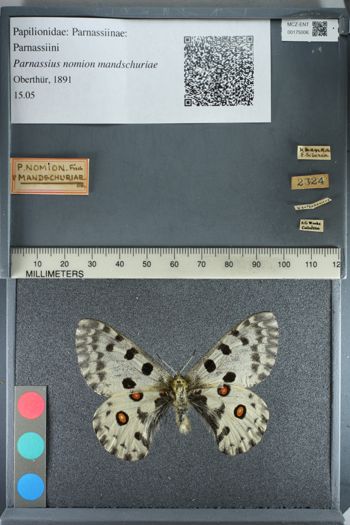 Media type: image;   Entomology 175006